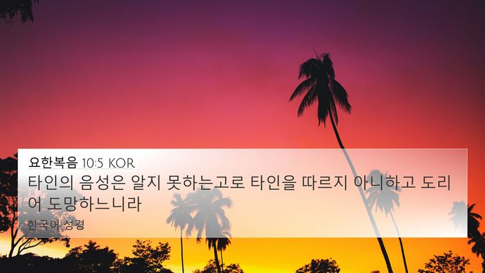 요한복음 10:5 KOR Bible Verse Image