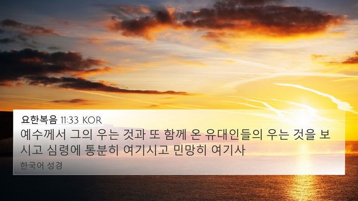 요한복음 11:33 KOR Bible Verse Image