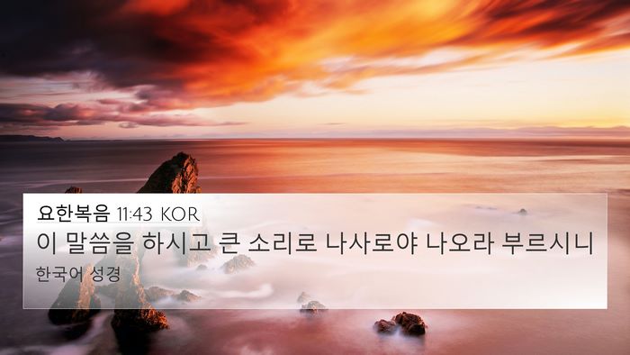 요한복음 11:43 KOR Bible Verse Image