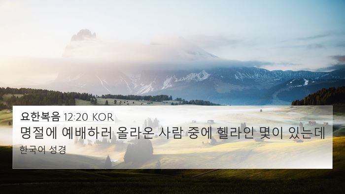 요한복음 12:20 KOR 4K Wallpaper - 명절에 예배하러 올라온 사람 중에 - 4K Wallpaper Bible Verse