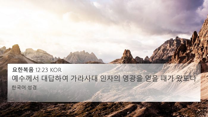 요한복음 12:23 KOR Bible Verse Image