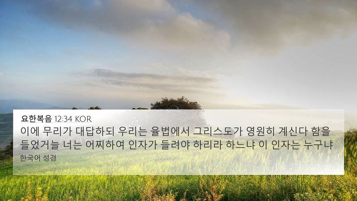 요한복음 12:34 KOR Bible Verse Image