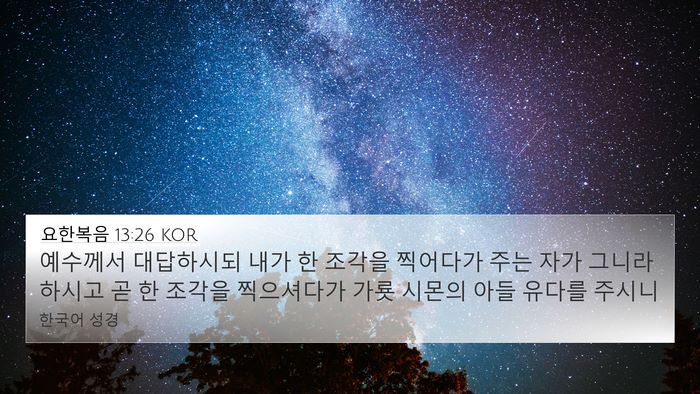 요한복음 13:26 KOR Bible Verse Image