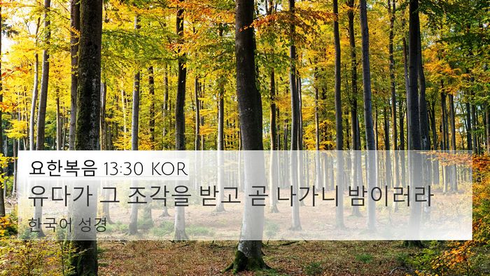 요한복음 13:30 KOR Bible Verse Image
