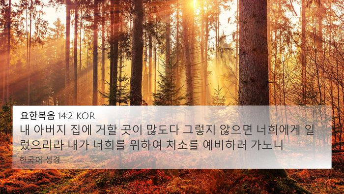 요한복음 14:2 KOR Bible Verse Image