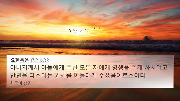 요한복음 17:2 KOR Bible Verse Image