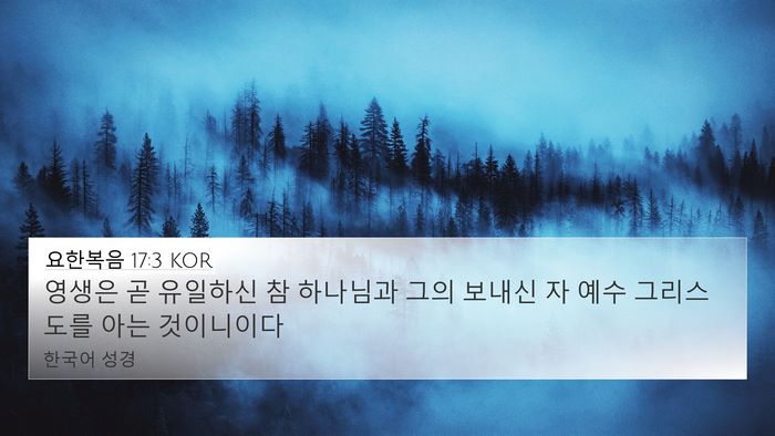 요한복음 17:3 KOR Bible Verse Image