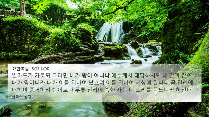 요한복음 18:37 KOR Bible Verse Image