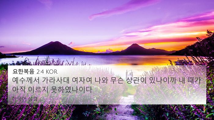 요한복음 2:4 KOR 4K Wallpaper - 예수께서 가라사대 여자여 나와 무슨 - 4K Wallpaper Bible Verse
