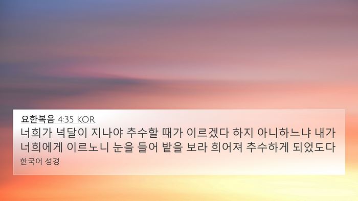 요한복음 4:35 KOR Bible Verse Image