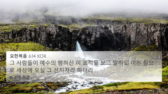 요한복음 6:14 KOR Bible Verse Image