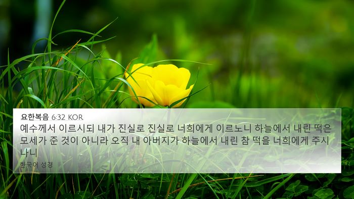 요한복음 6:32 KOR Bible Verse Image