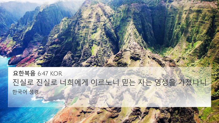요한복음 6:47 KOR Bible Verse Image