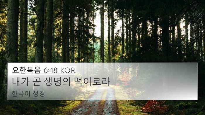 요한복음 6:48 KOR Bible Verse Image