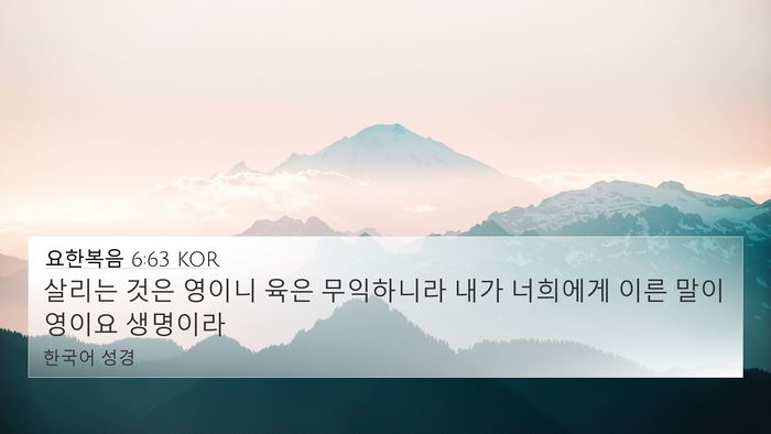 요한복음 6:63 KOR Bible Verse Image