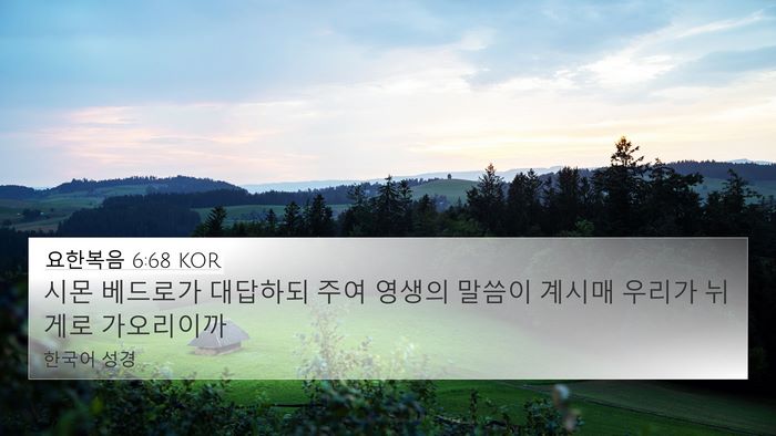 요한복음 6:68 KOR Bible Verse Image