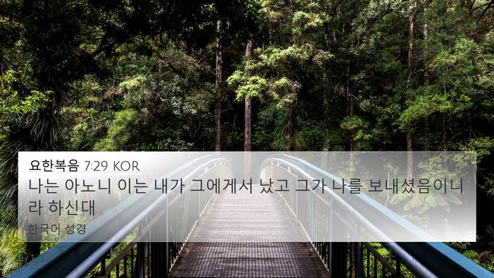 요한복음 7:29 KOR Bible Verse Image