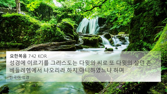 요한복음 7:42 KOR Bible Verse Image