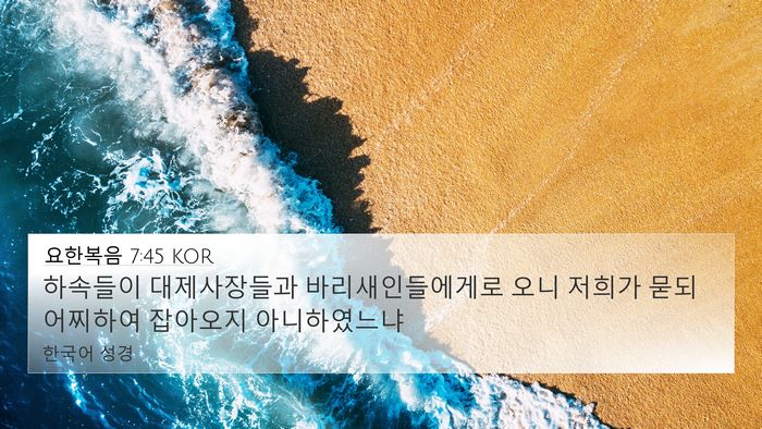 요한복음 7:45 KOR Bible Verse Image