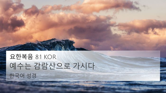 요한복음 8:1 KOR Bible Verse Image