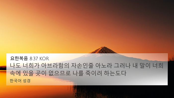요한복음 8:37 KOR Bible Verse Image