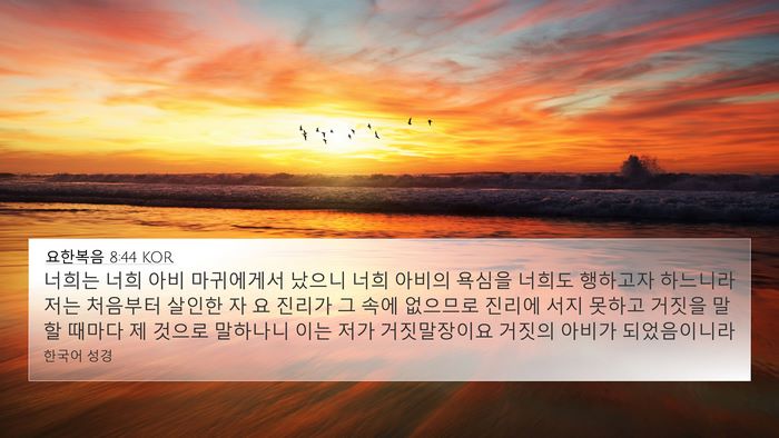요한복음 8:44 KOR Bible Verse Image