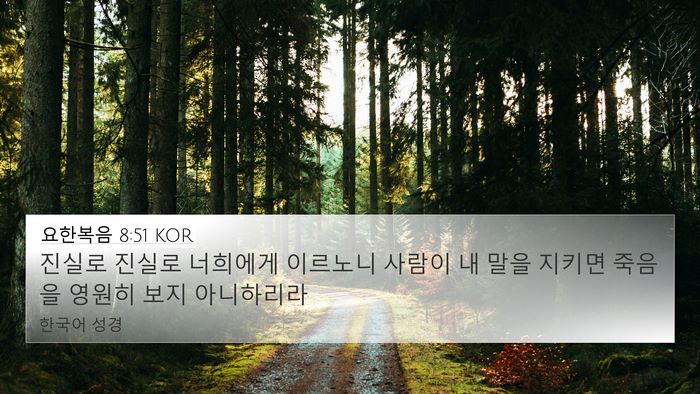 요한복음 8:51 KOR Bible Verse Image