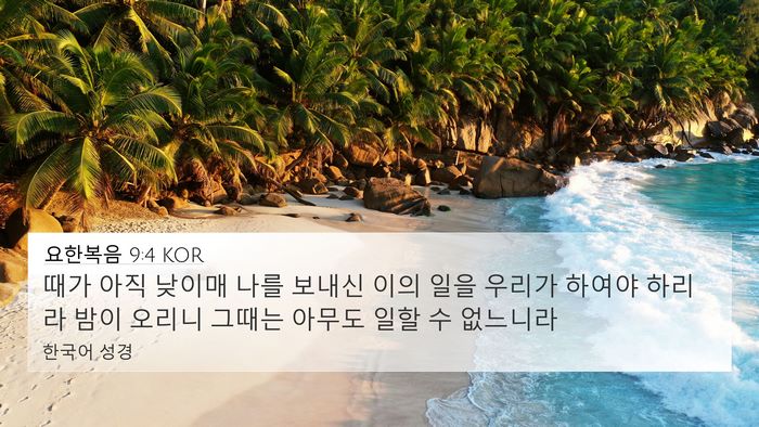 요한복음 9:4 KOR Bible Verse Image