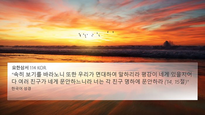 요한삼서 1:14 KOR Bible Verse Image