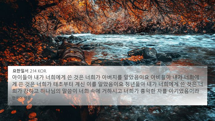 요한일서 2:14 KOR Bible Verse Image