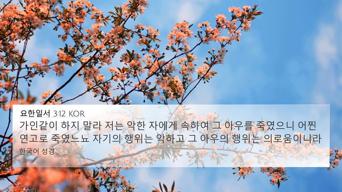 요한일서 3:12 KOR Bible Verse Image