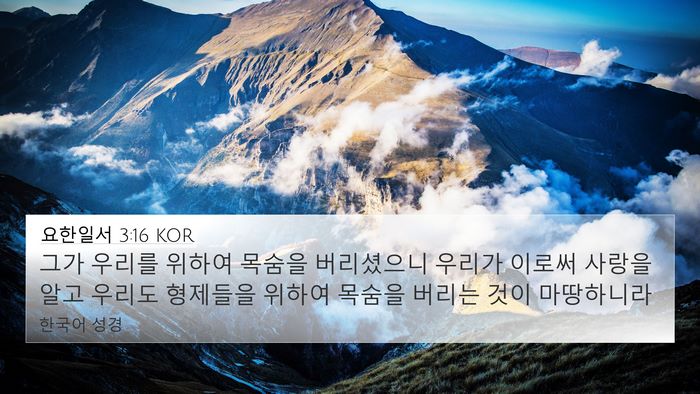 요한일서 3:16 KOR Bible Verse Image