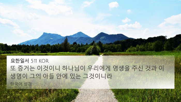 요한일서 5:11 KOR Bible Verse Image