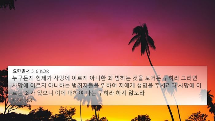 요한일서 5:16 KOR 4K Wallpaper - 누구든지 형제가 사망에 이르지 - 4K Wallpaper Bible Verse