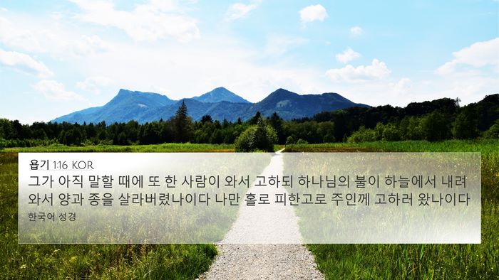 욥기 1:16 KOR Bible Verse Image