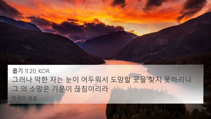 욥기 11:20 KOR Bible Verse Image