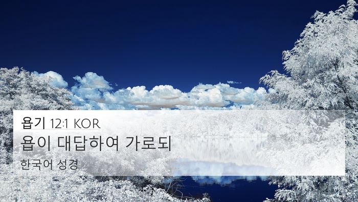 욥기 12:1 KOR 4K Wallpaper - 욥이 대답하여 - 4K Wallpaper Bible Verse