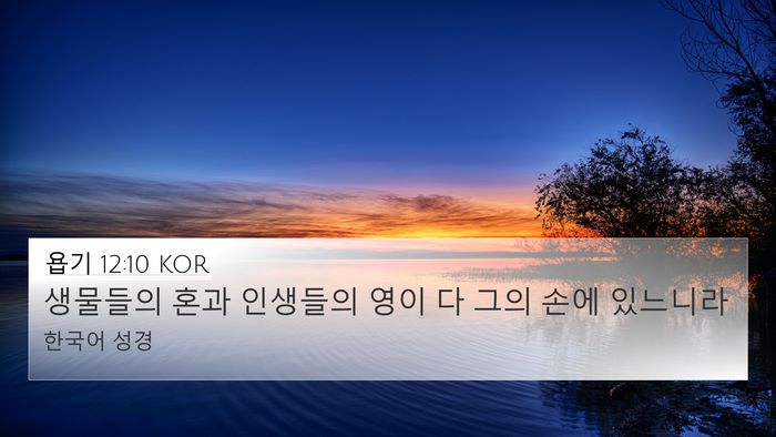 욥기 12:10 KOR Bible Verse Image