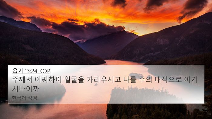 욥기 13:24 KOR Bible Verse Image