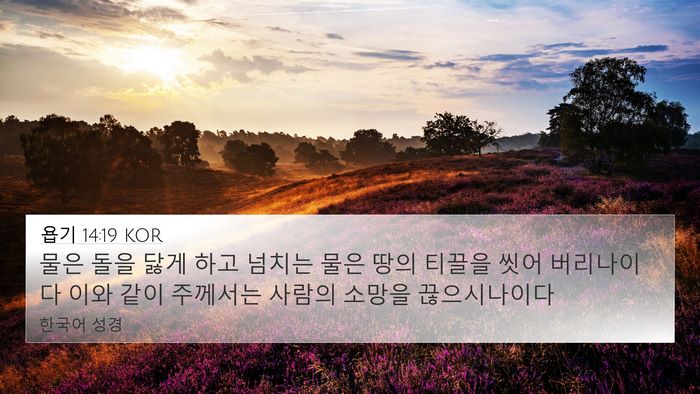 욥기 14:19 KOR Bible Verse Image