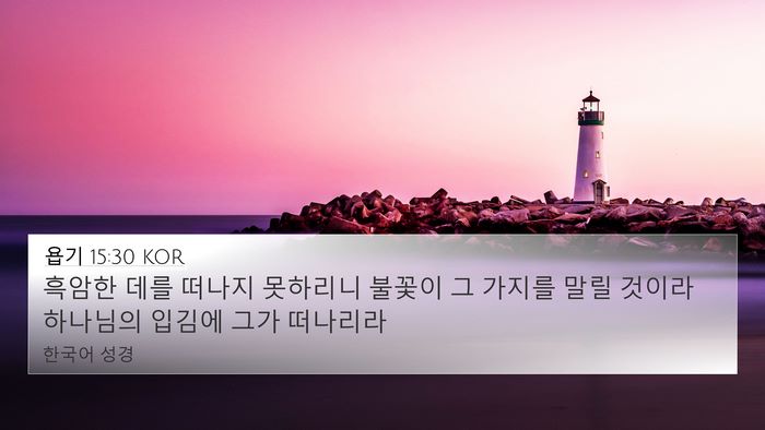 욥기 15:30 KOR Bible Verse Image