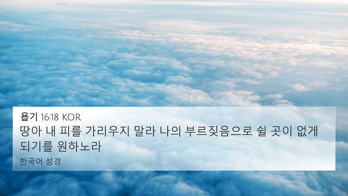욥기 16:18 KOR Bible Verse Image