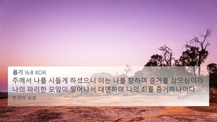 욥기 16:8 KOR Bible Verse Image