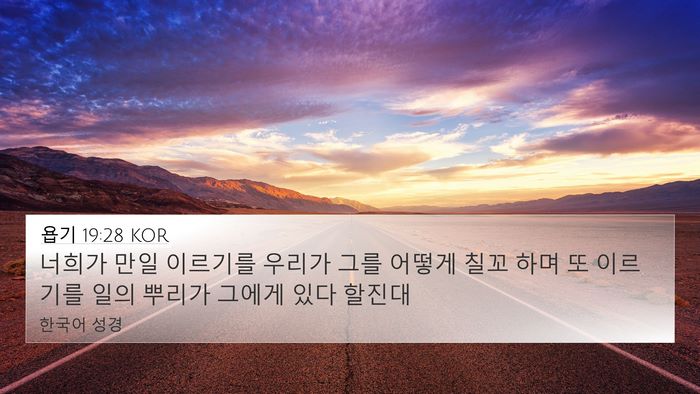 욥기 19:28 KOR Bible Verse Image