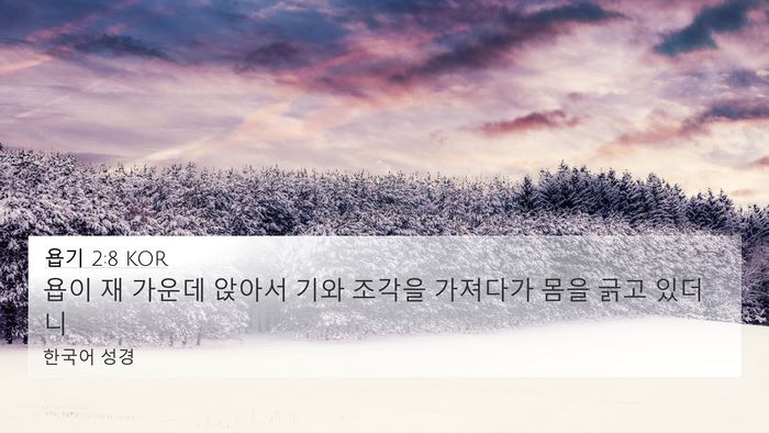 욥기 2:8 KOR Bible Verse Image
