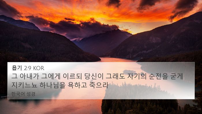 욥기 2:9 KOR Bible Verse Image