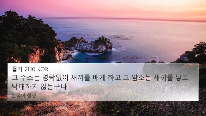 욥기 21:10 KOR Bible Verse Image