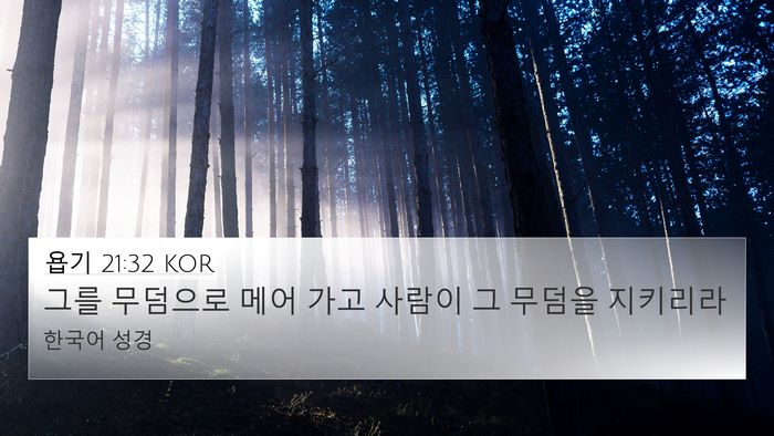 욥기 21:32 KOR Bible Verse Image