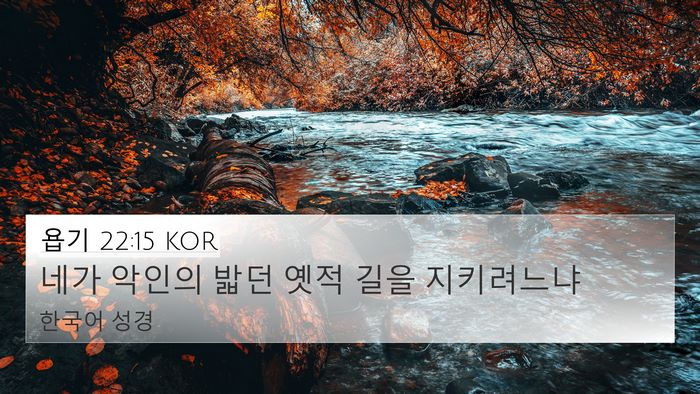 욥기 22:15 KOR Bible Verse Image