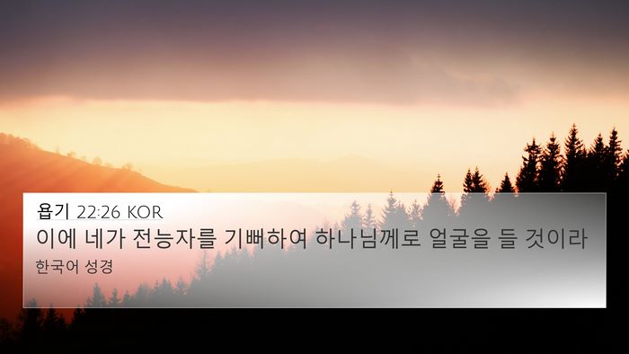 욥기 22:26 KOR Bible Verse Image